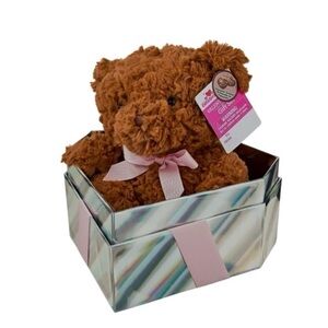 Way To Celebrate Brown Bear Gift Set